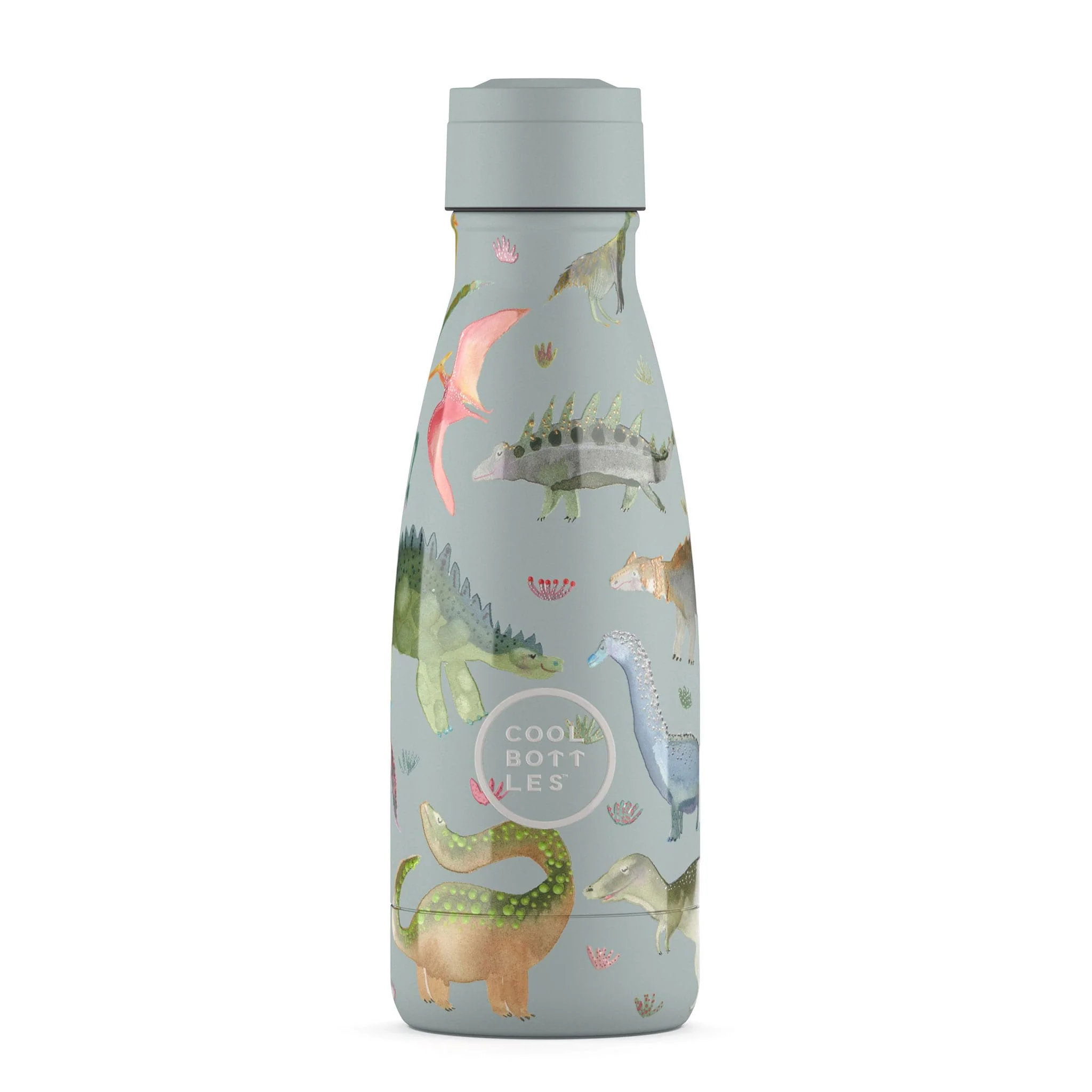 Bouteille 260ml - Dinos Planet - Image 3
