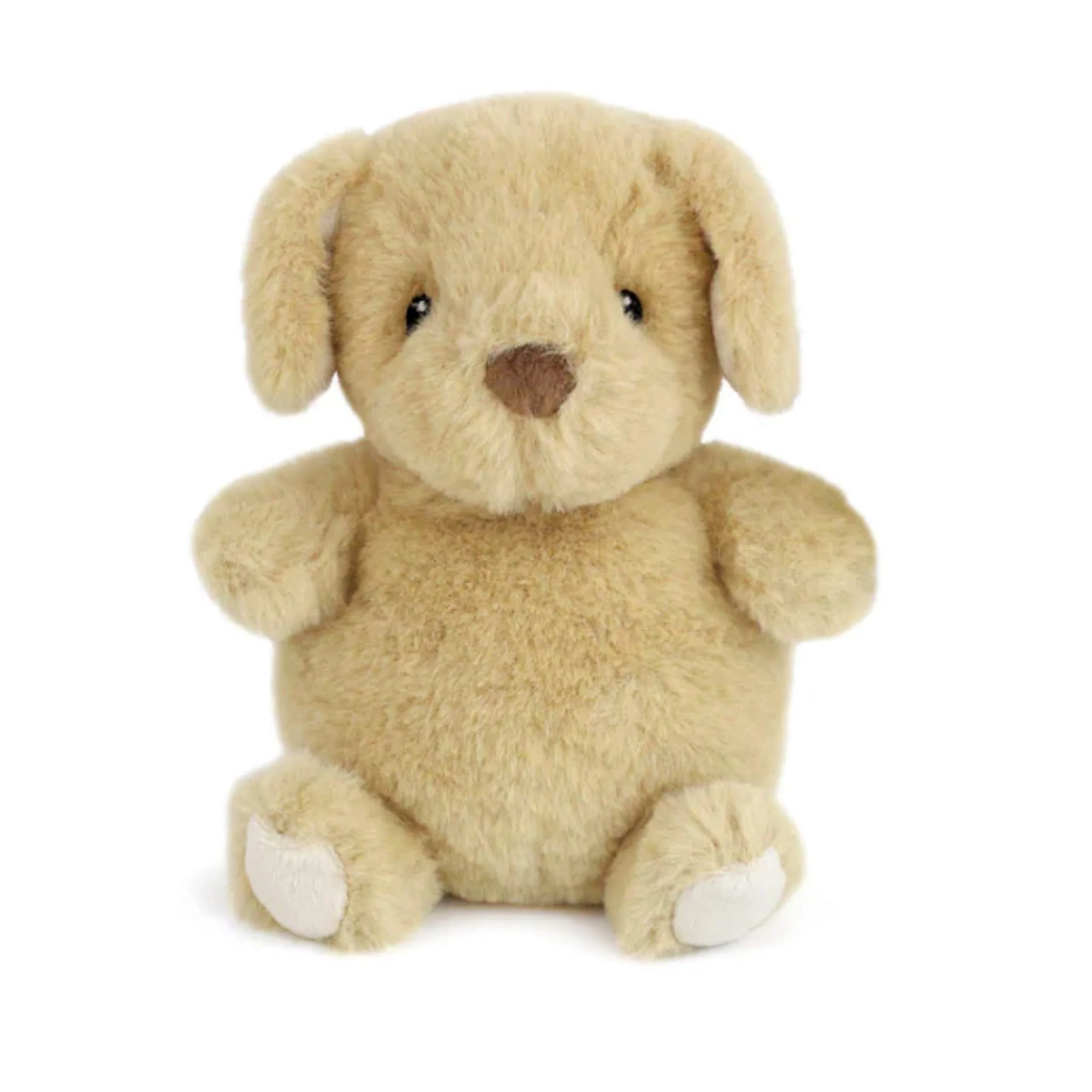 Chiot Jake