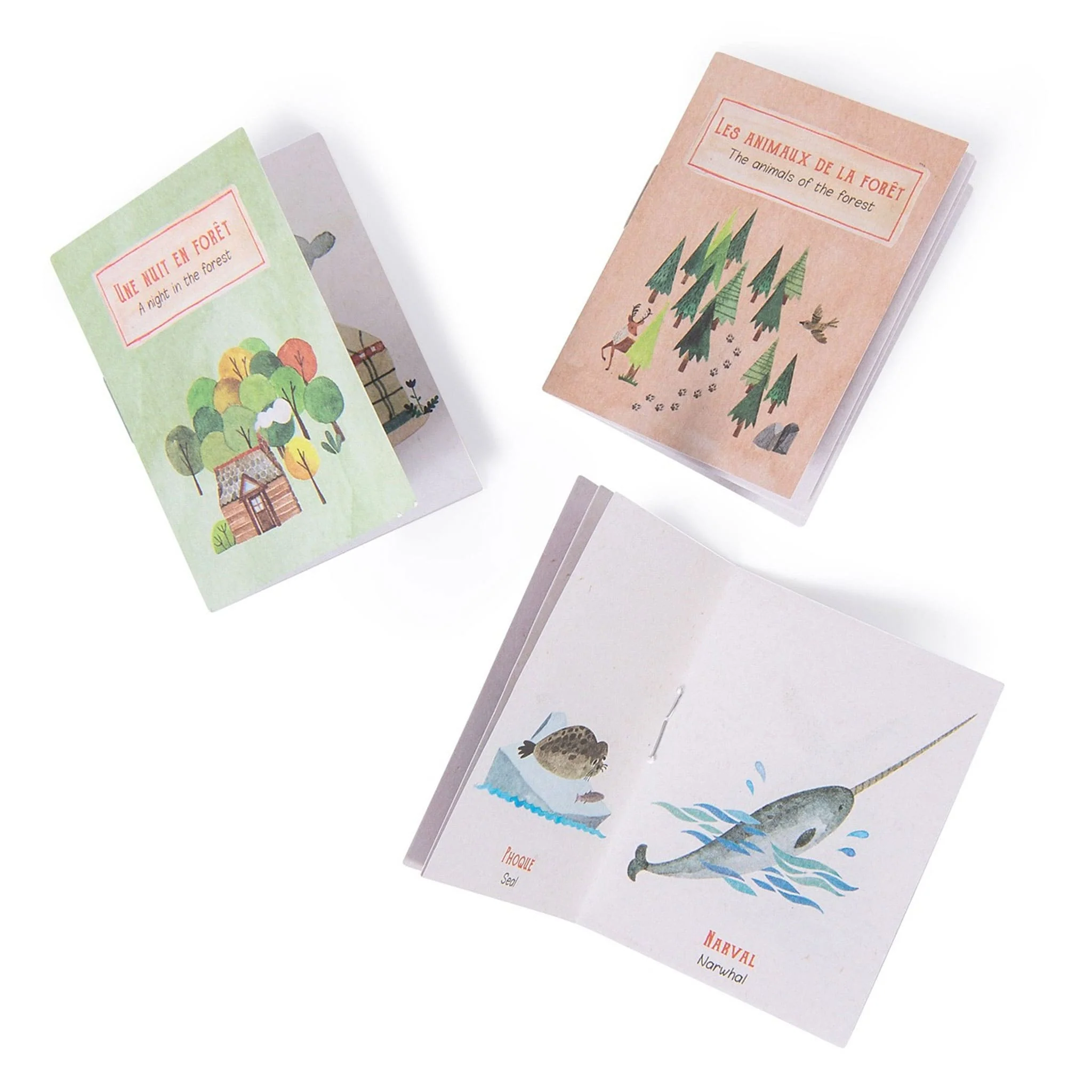 Coffret Lampe à Histoire - Explorateur - Image 3