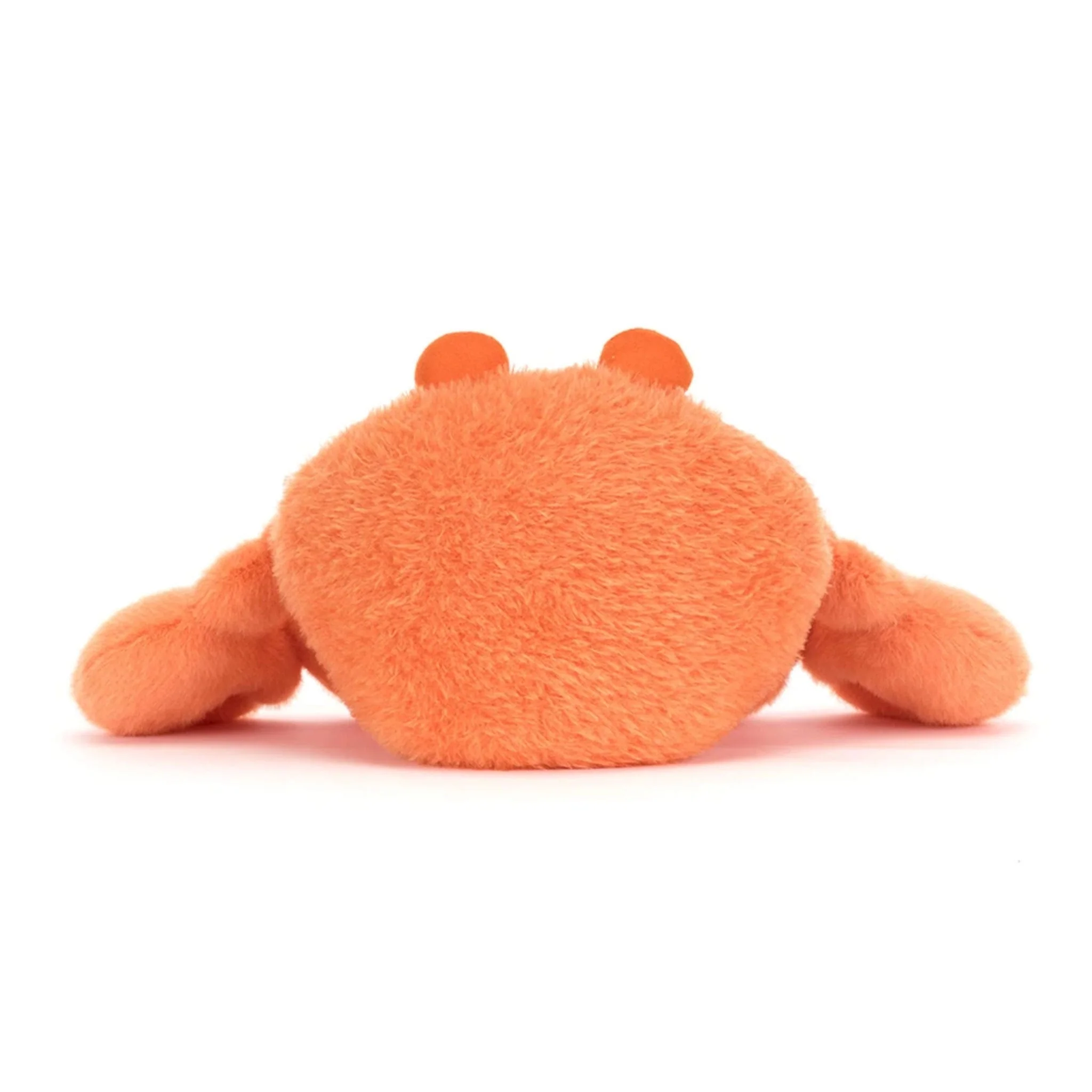 Crabe Crispin - Image 6