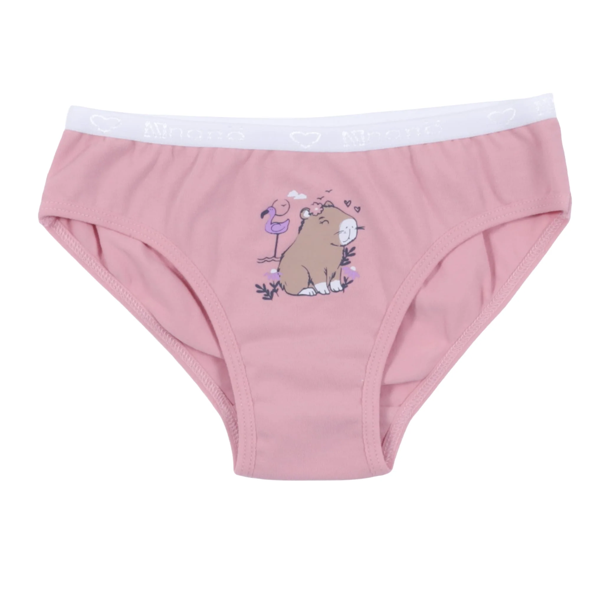 Culottes (3) Capybaras 2-12ans - Image 4