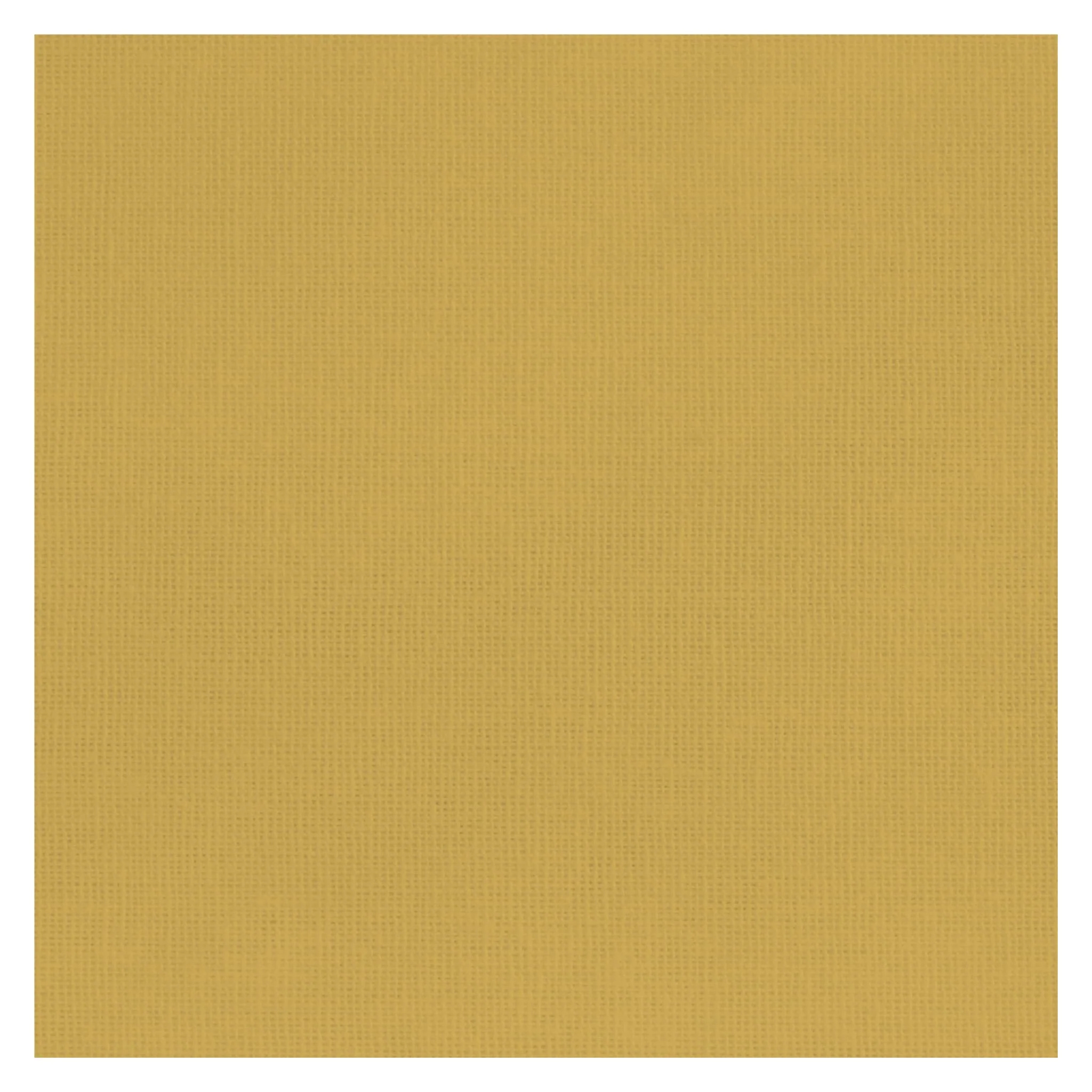 Échelle de Croissance FR - Ocre - Image 4