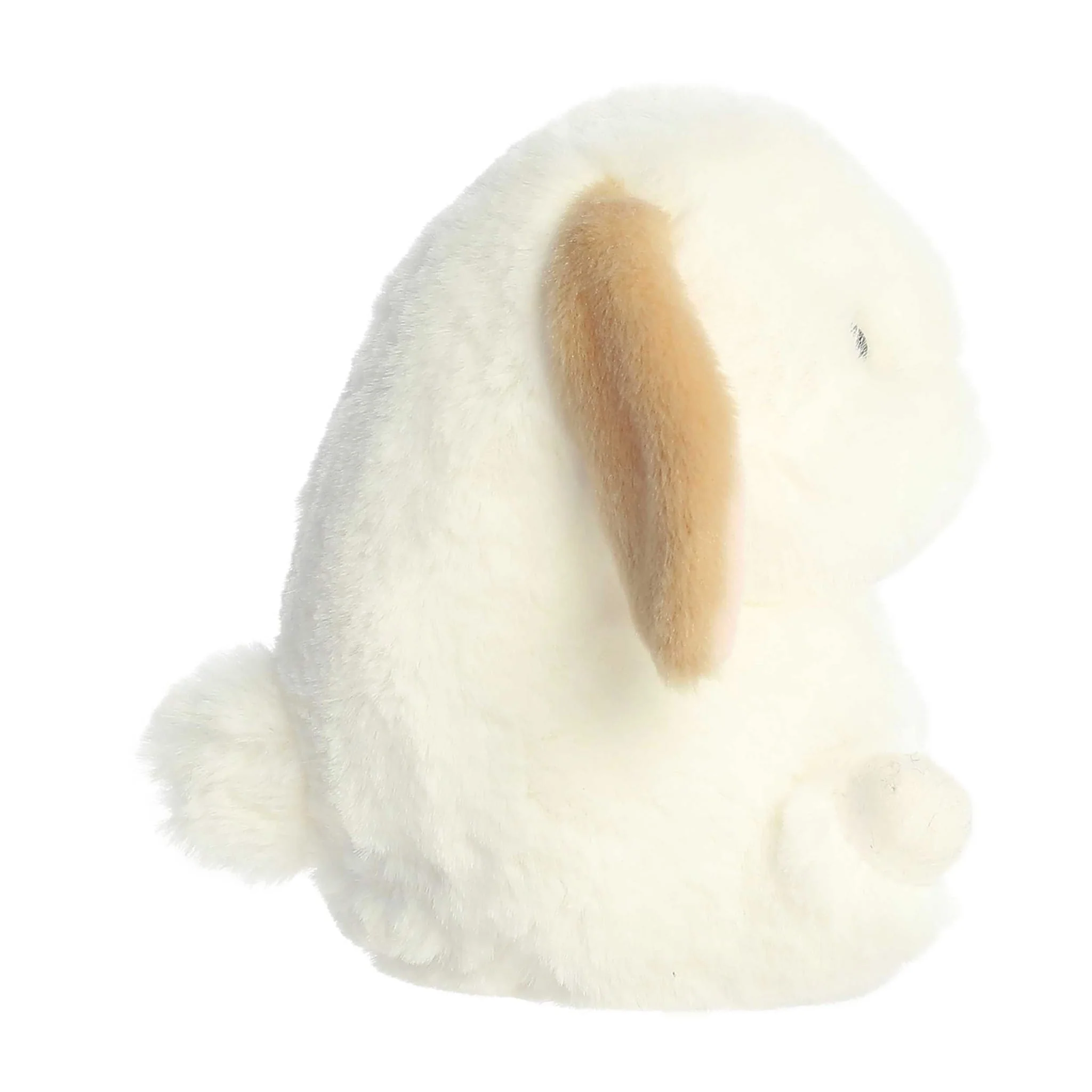 Lapin - Image 3