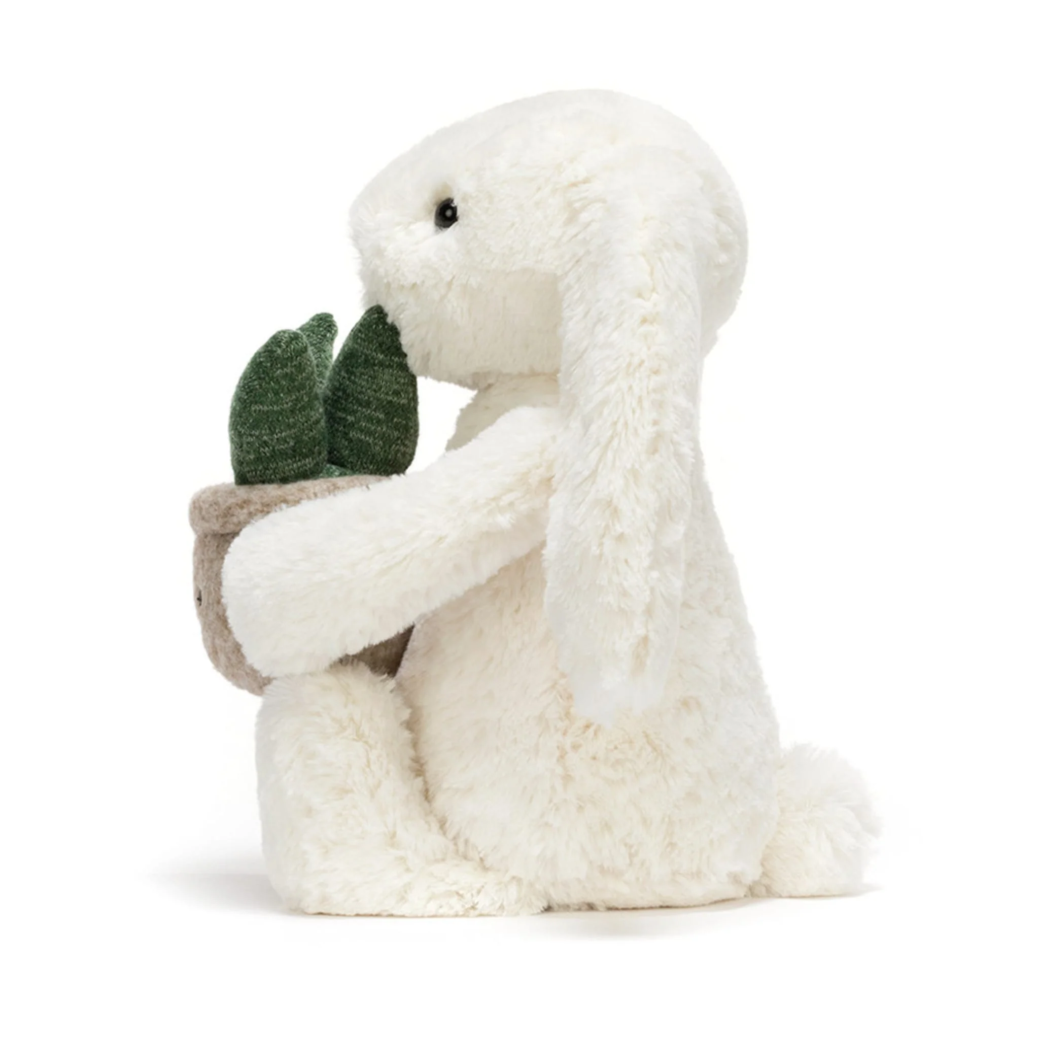 Lapin Crème Avec Plante - Image 4