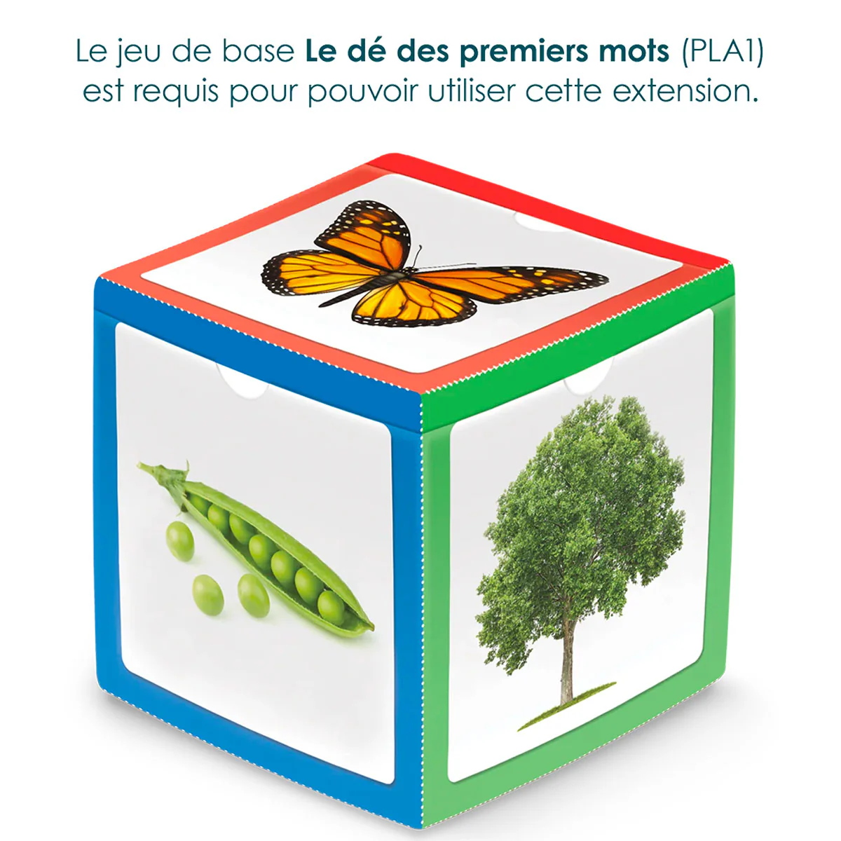 Le Dé Des Premiers Mots - Cartes Supplémentaires - Image 5