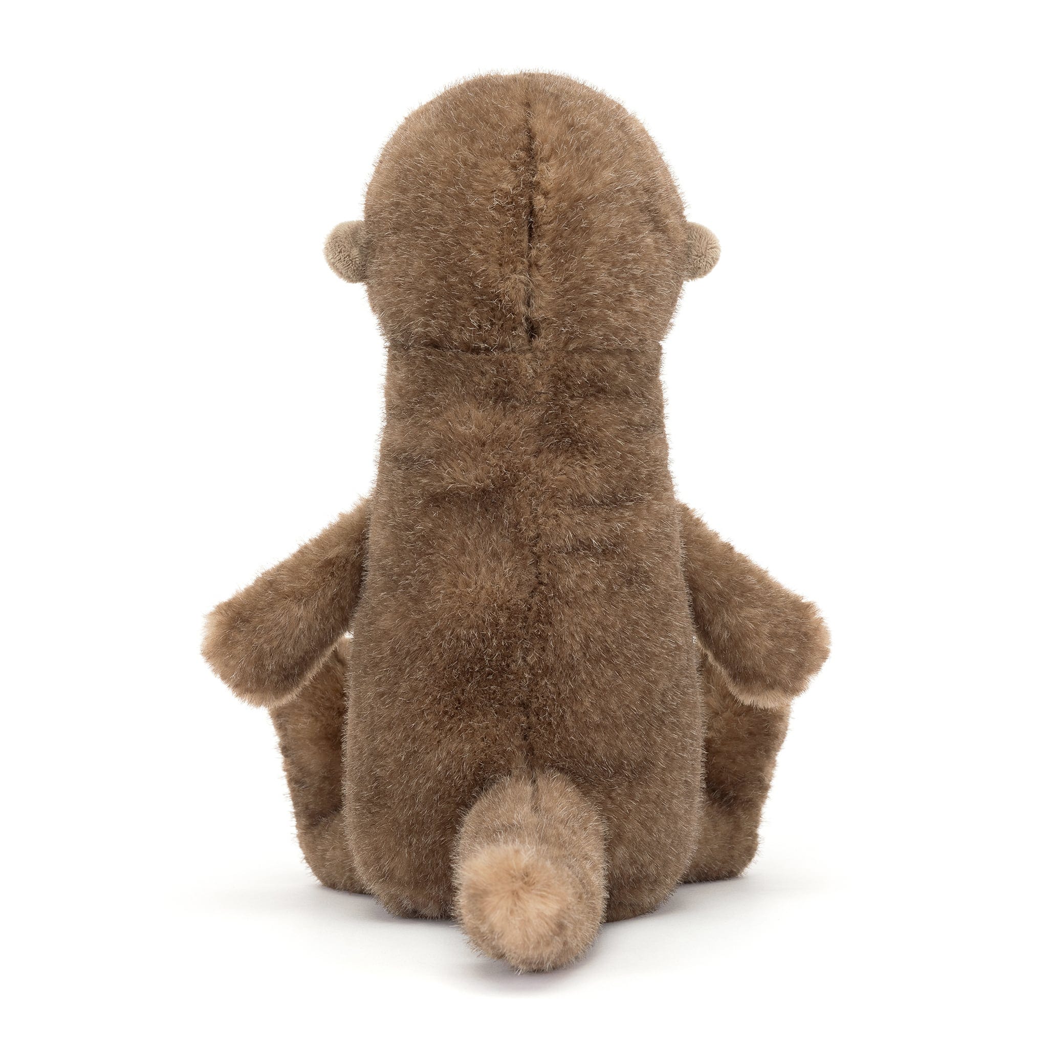 Loutre Brooke - Image 2