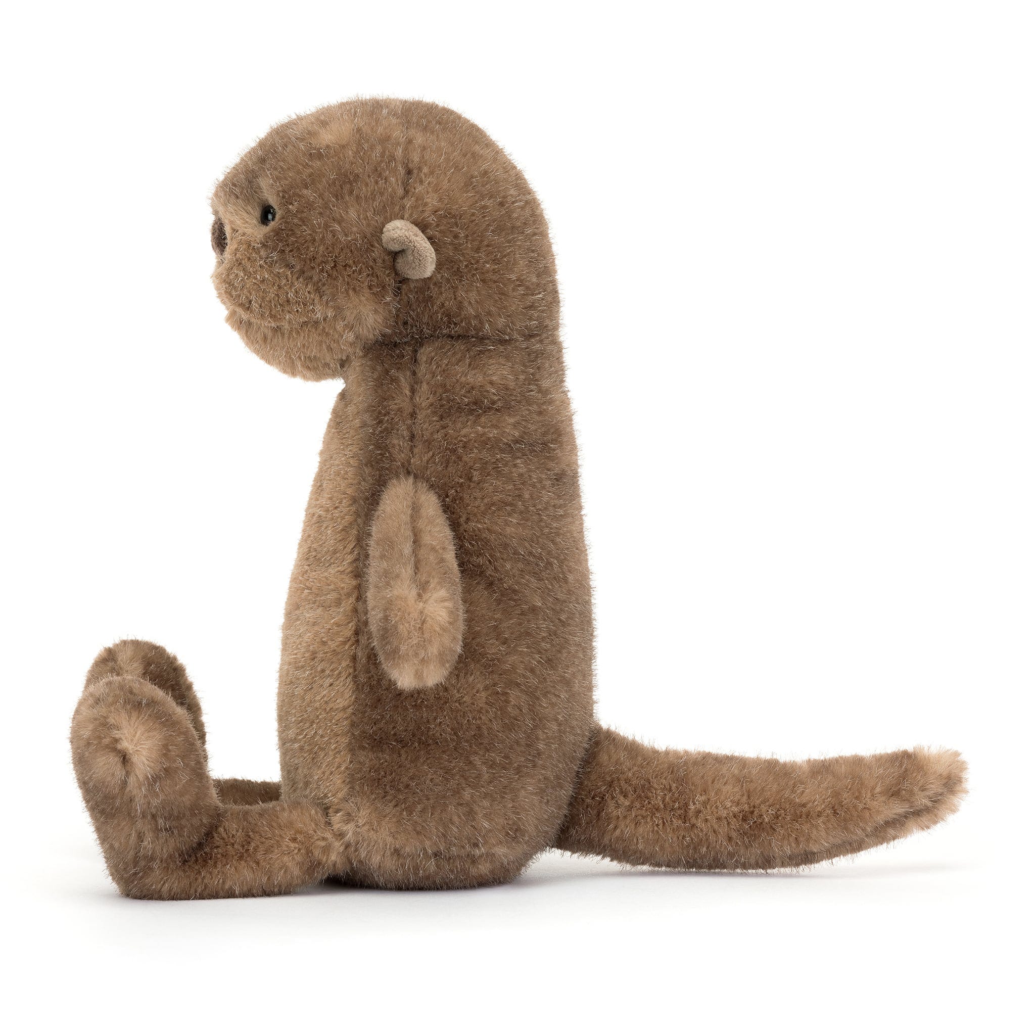 Loutre Brooke - Image 4