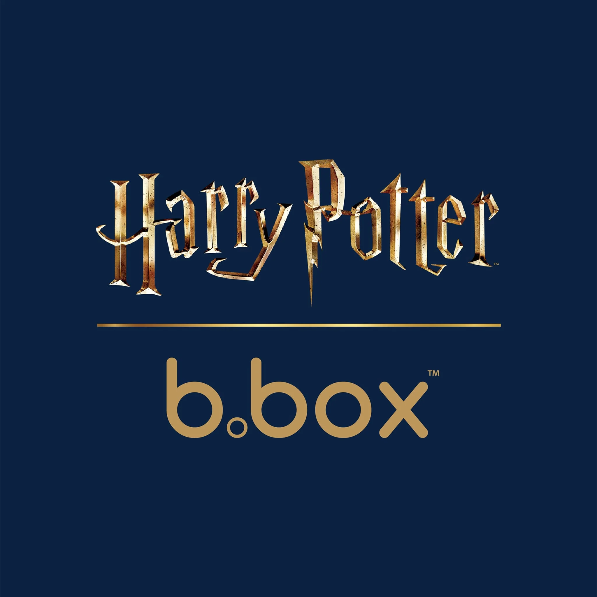 Mini Boîte à Lunch - Harry Potter - Image 3