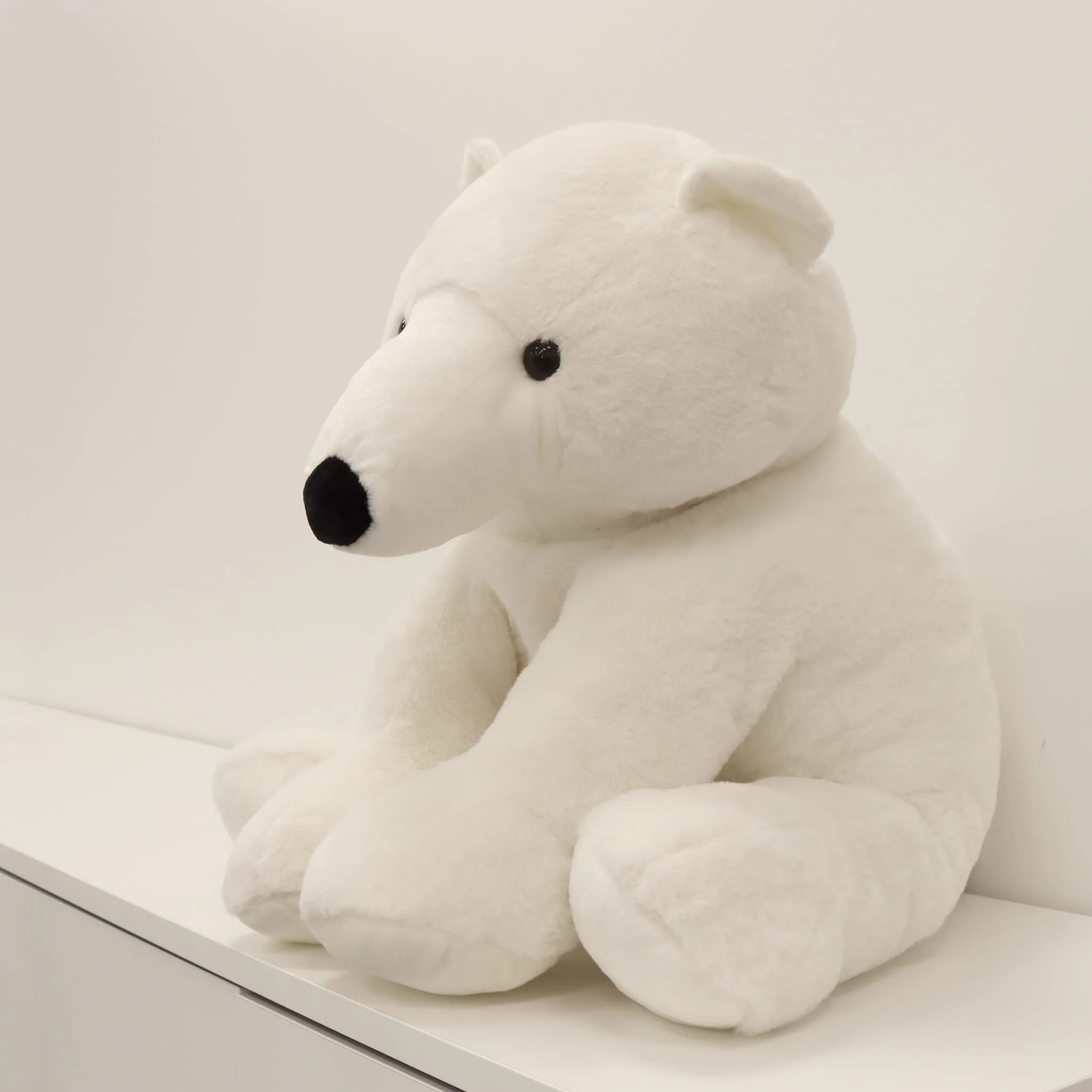 Ours Polaire - Image 3