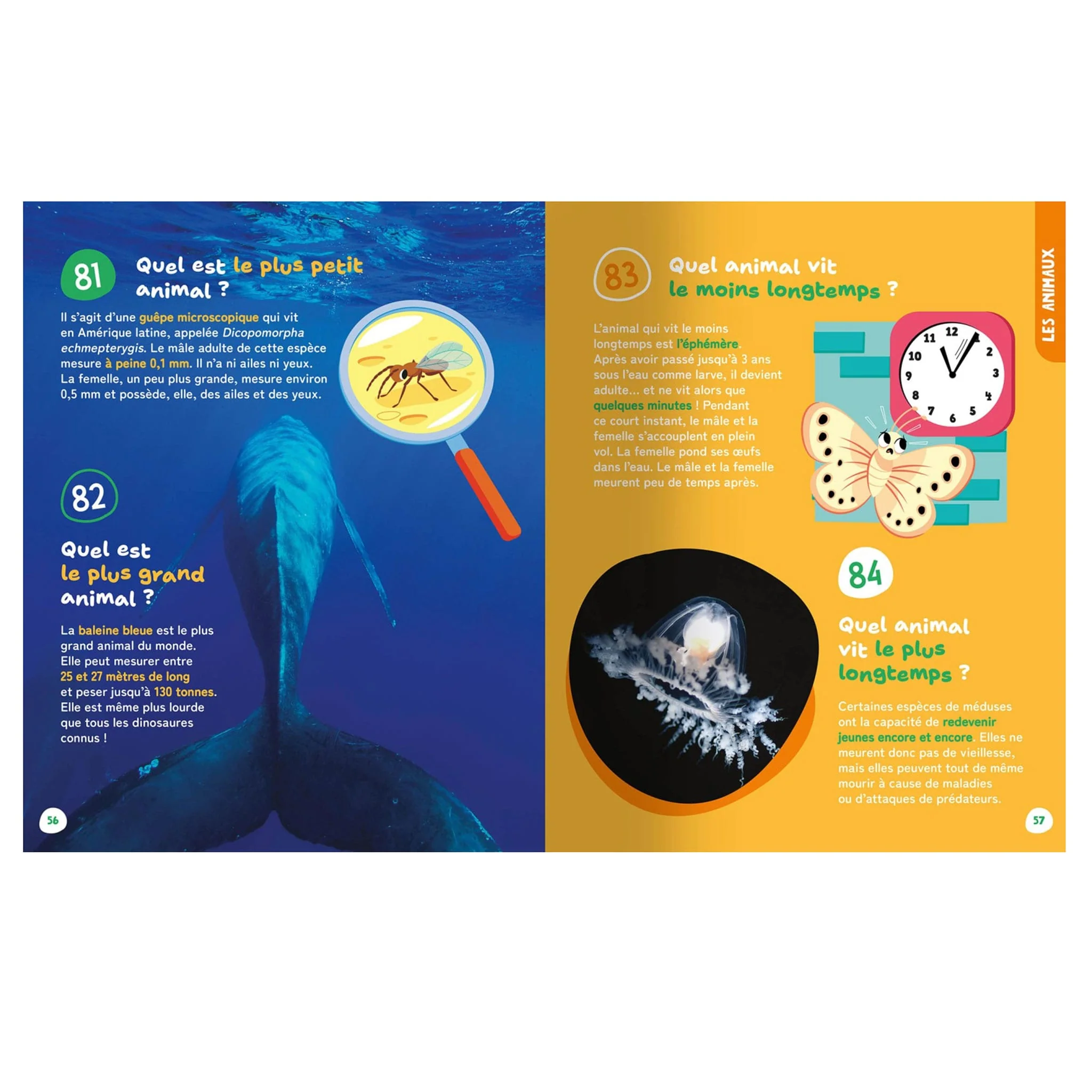 Les petites et grandes questions de mes 3-6 ans - Image 2