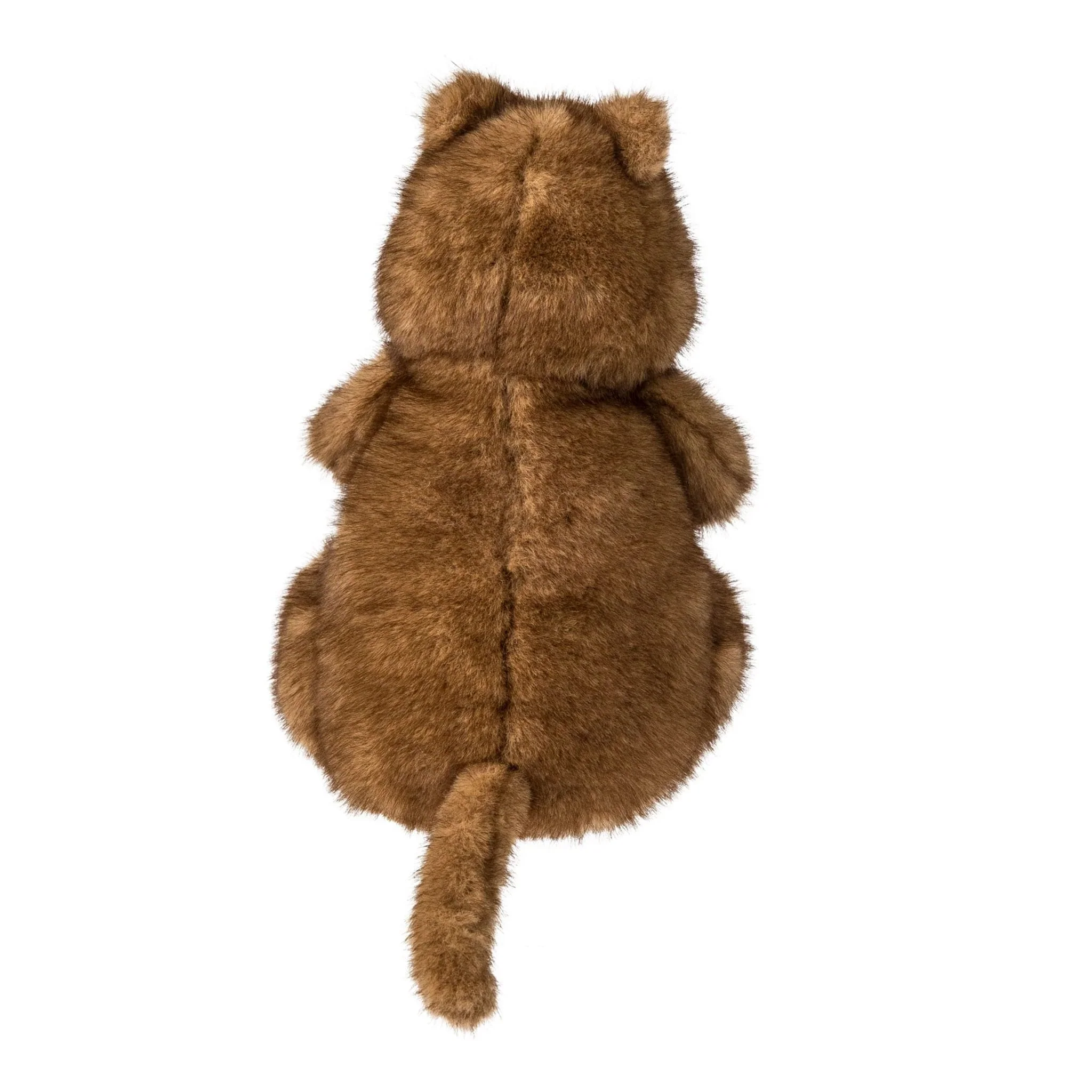 Quokka joyeux - Image 3