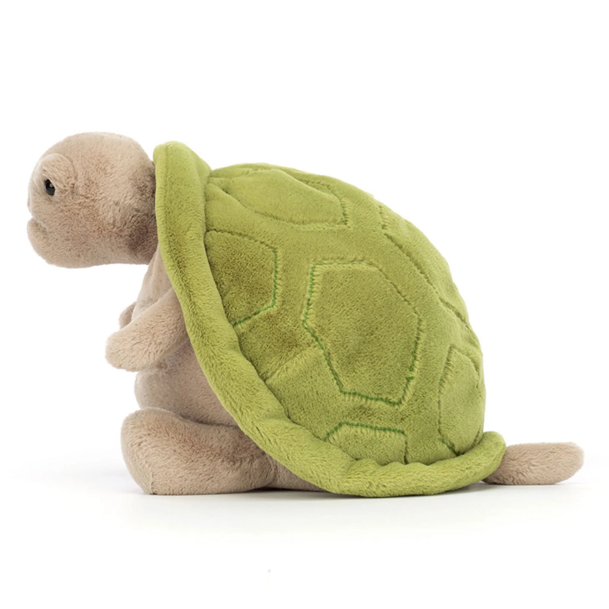 Tortue Timmy - Image 2