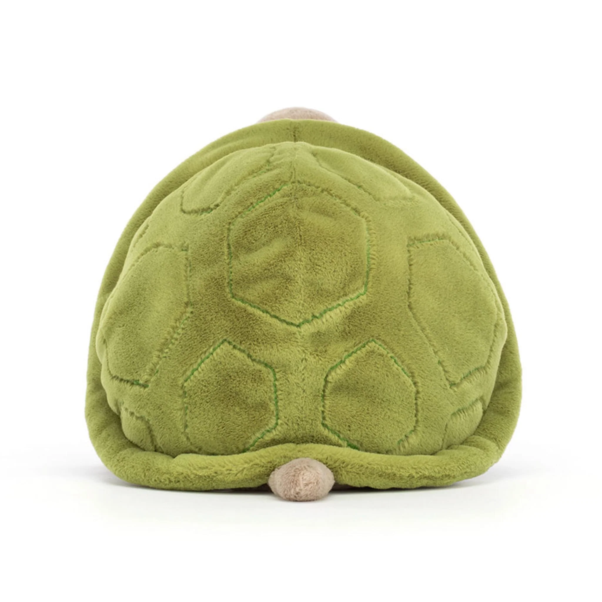 Tortue Timmy - Image 3